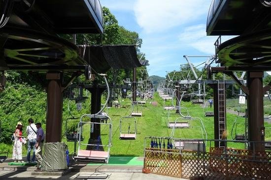 🌸 탄바라 라벤더 파크 이미지 7